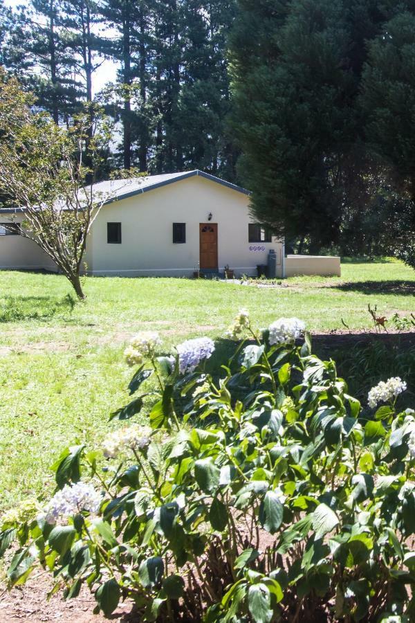 Kamberg Valley Hideaway Rev Estates Exteriér fotografie